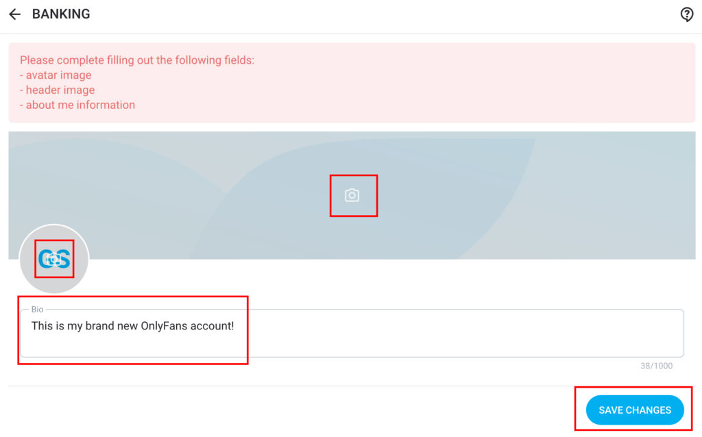 Add avatar, header and bio to OnlyFans
